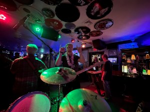 Mostly Harmless Debut At The Dutch Cottage Tavern is&nbsp;TONIGHT!